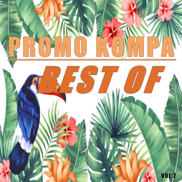 Couverture de Best of promo kompa