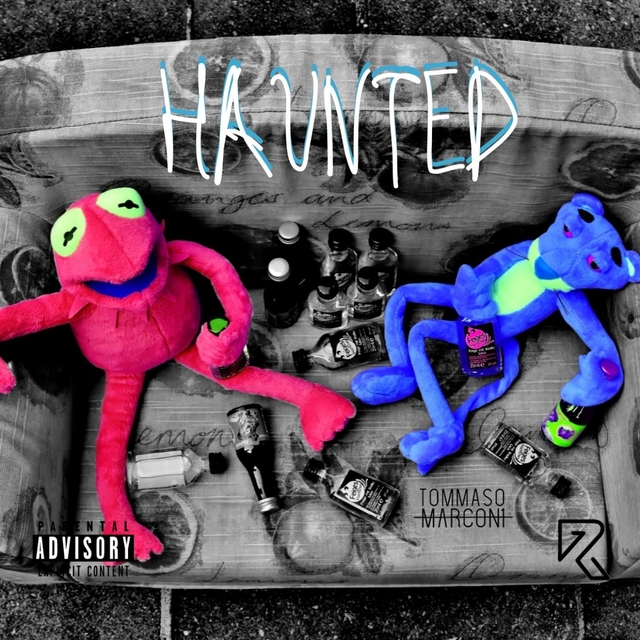 Couverture de Haunted