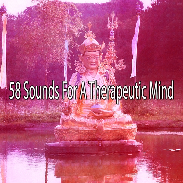 Couverture de 58 Sounds for a Therapeutic Mind