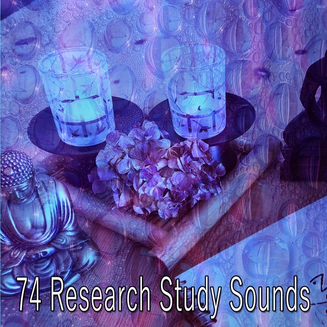 Couverture de 74 Research Study Sounds