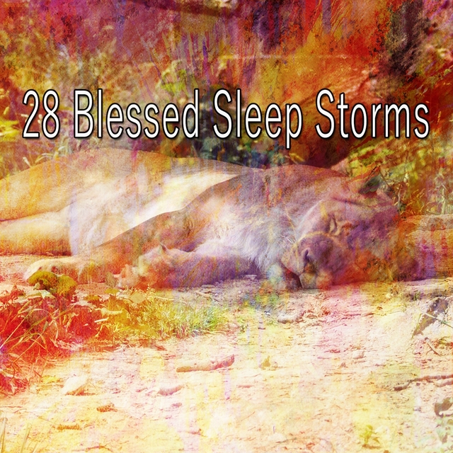 Couverture de 28 Blessed Sleep Storms