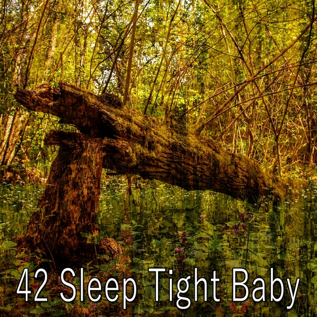 Couverture de 42 Sleep Tight Baby