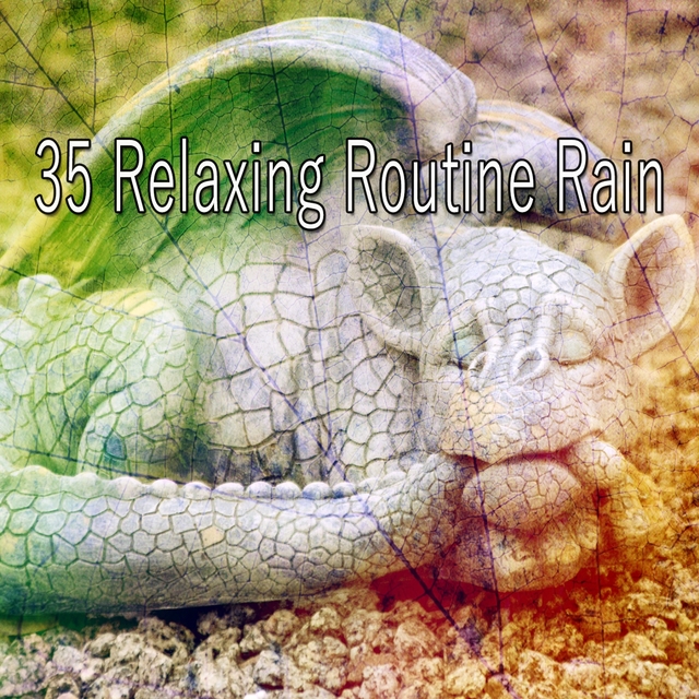 Couverture de 35 Relaxing Routine Rain