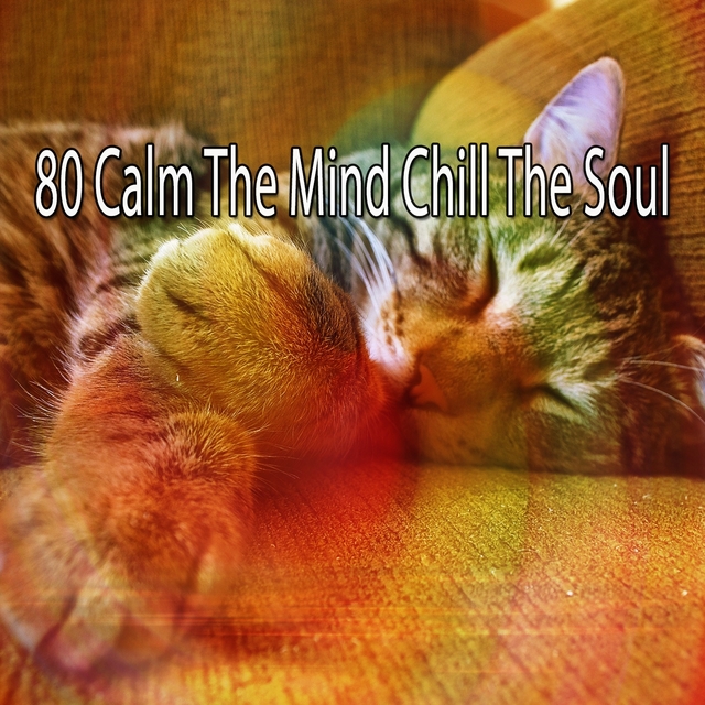 Couverture de 80 Calm the Mind Chill the Soul