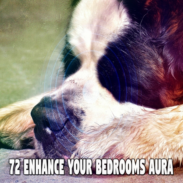 Couverture de 72 Enhance Your Bedrooms Aura