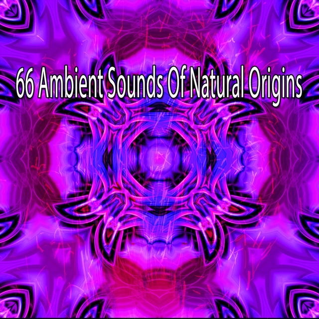 66 Ambient Sounds of Natural Origins