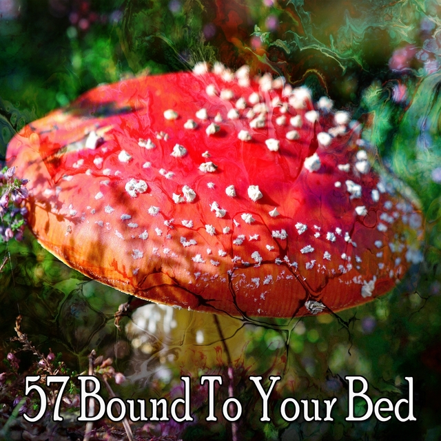 Couverture de 57 Bound to Your Bed