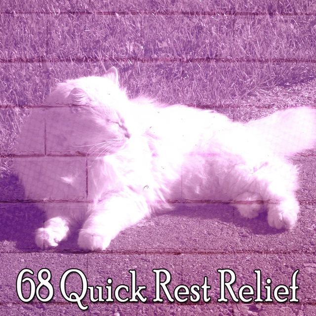 Couverture de 68 Quick Rest Relief