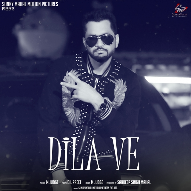 Couverture de Dila Ve