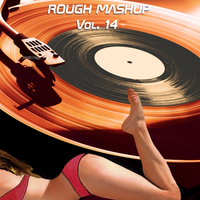 Rough Mashup Vol. 14