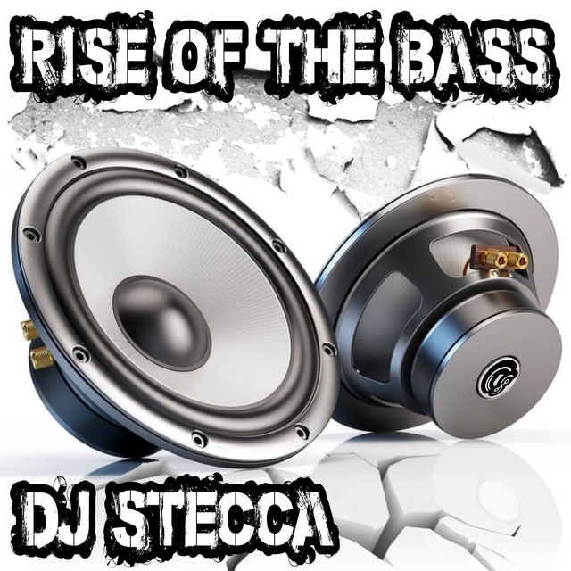 Couverture de Rise of The Bass