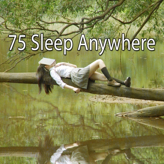 Couverture de 75 Sleep Anywhere