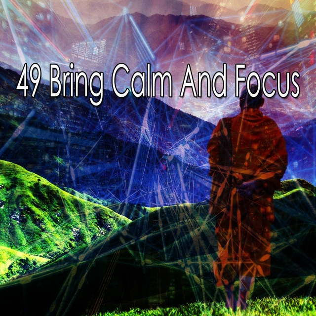 Couverture de 49 Bring Calm And Focus