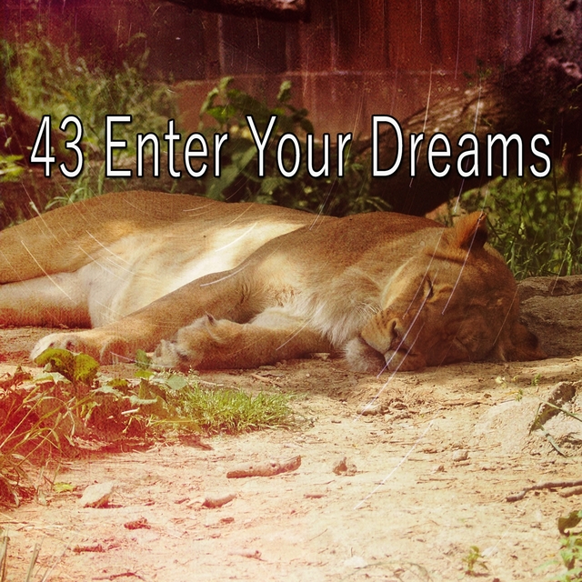 43 Enter Your Dreams