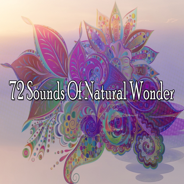 72 Sounds Of Natural Wonder