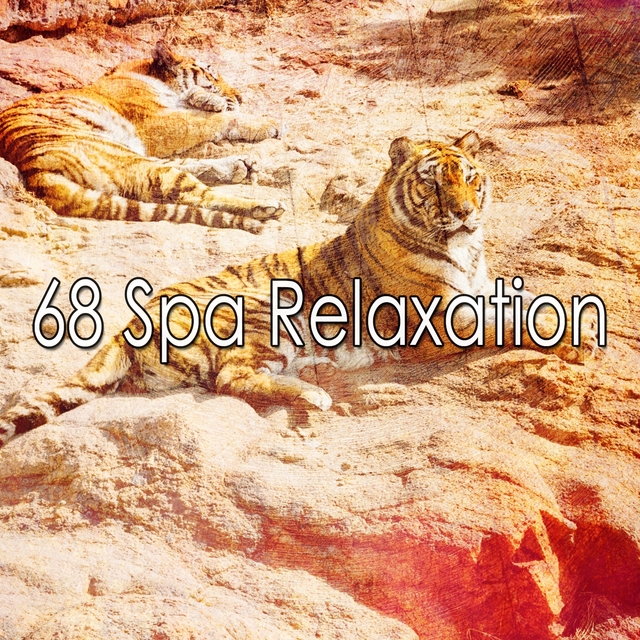 68 Spa Relaxation