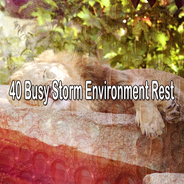 40 Busy Storm Environment Rest