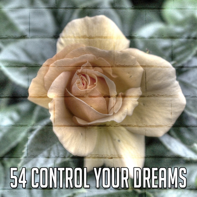 54 Control Your Dreams