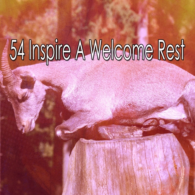 54 Inspire A Welcome Rest