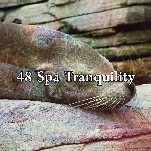 48 Spa Tranquility