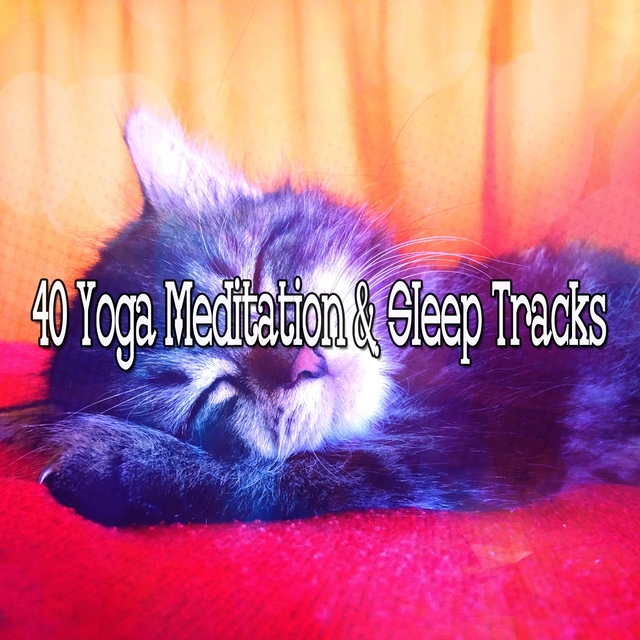 40 Yoga Meditation & Sleep Tracks