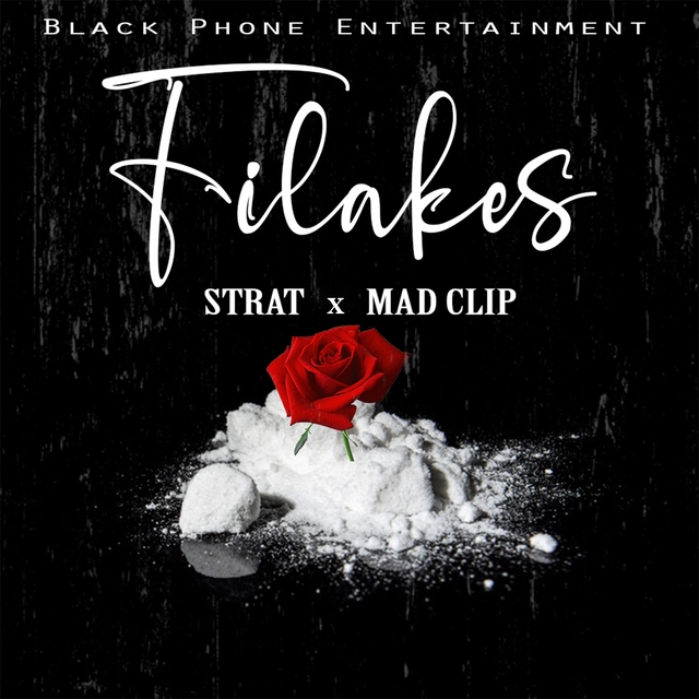 Couverture de Filakes