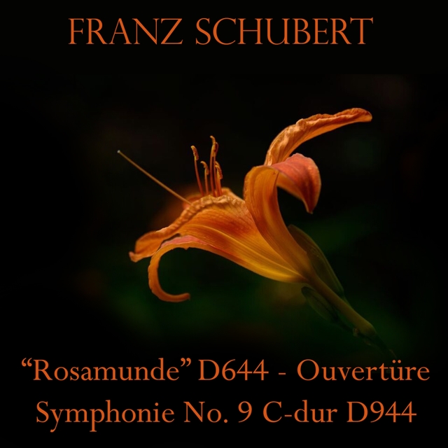 Couverture de Franz Schubert "Rosamunde" D644 - Ouvertüre / Symphonie No. 9 C-dur D944