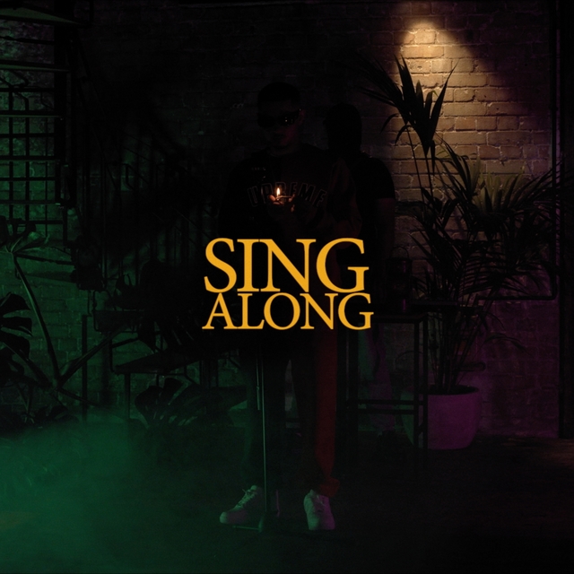 Couverture de Sing Along