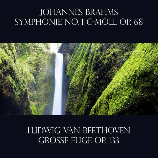 Couverture de Johannes Brahms: Symphonie No. 1 c-moll Op. 68 / Ludwig Van Beethoven:Große Fuge Op. 133