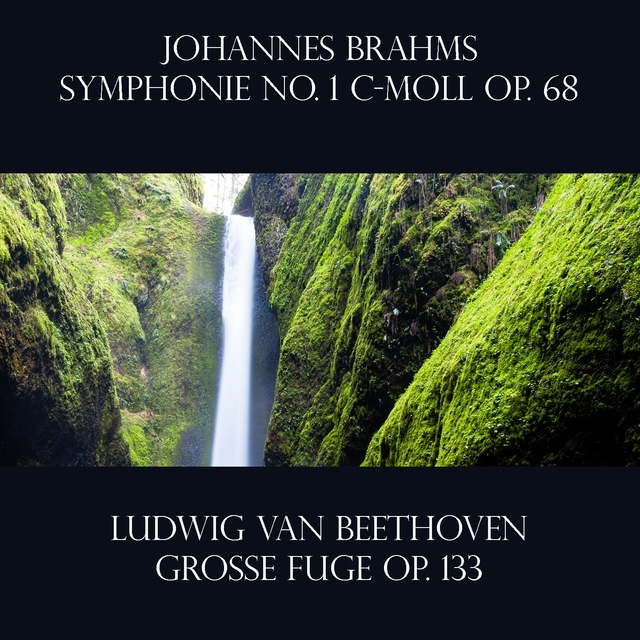 Johannes Brahms: Symphonie No. 1 c-moll Op. 68 / Ludwig Van Beethoven:Große Fuge Op. 133