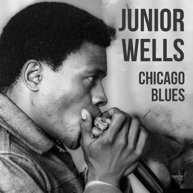 Couverture de Junior Wells, Chicago Blues