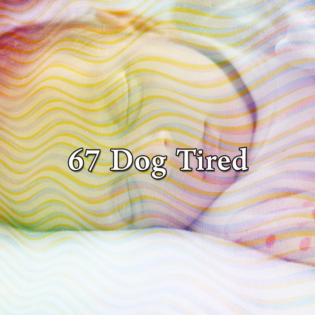 67 Dog Tired