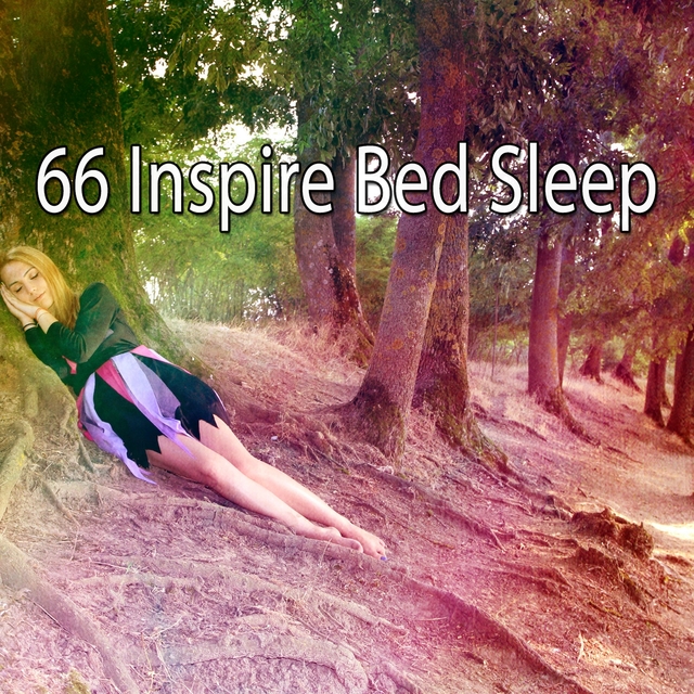 66 Inspire Bed Sle - EP