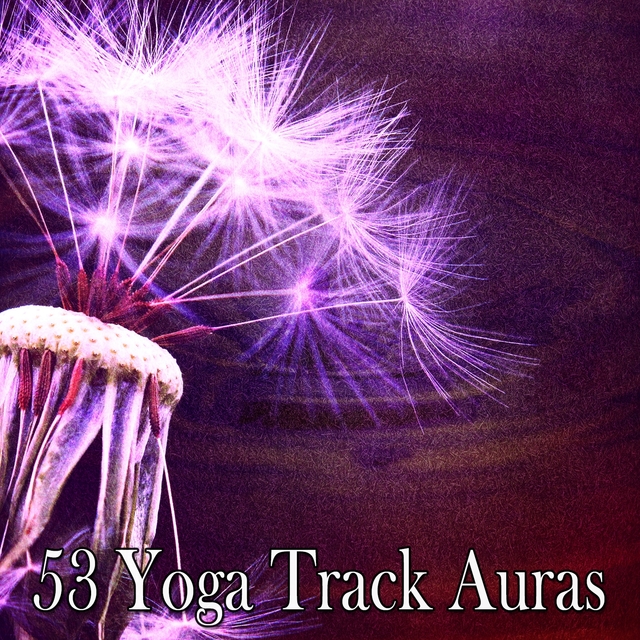 53 Yoga Track Auras