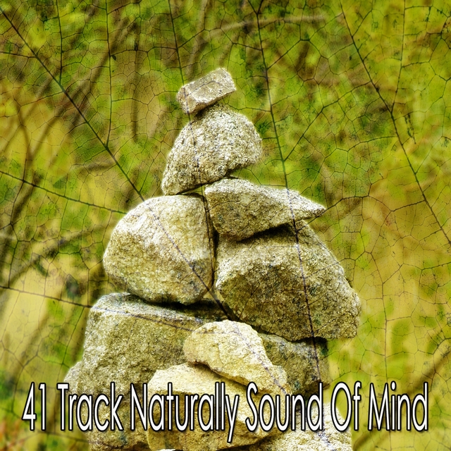 41 Track Naturally Sound of Mind