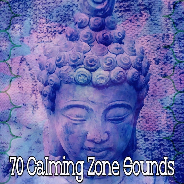 70 Calming Zone Sounds