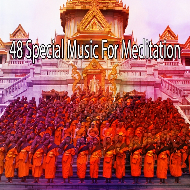 48 Special Music for Meditation