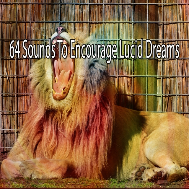 64 Sounds to Encourage Lucid Dreams