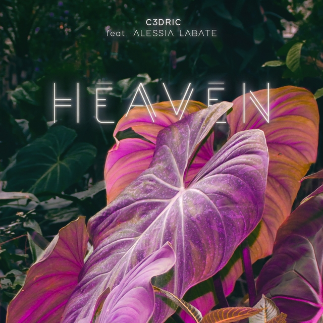 Couverture de Heaven