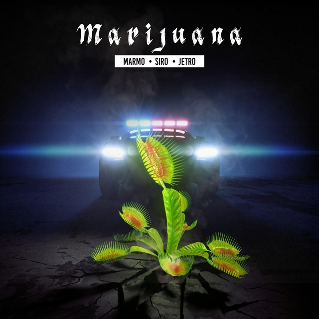 Couverture de Marijuana