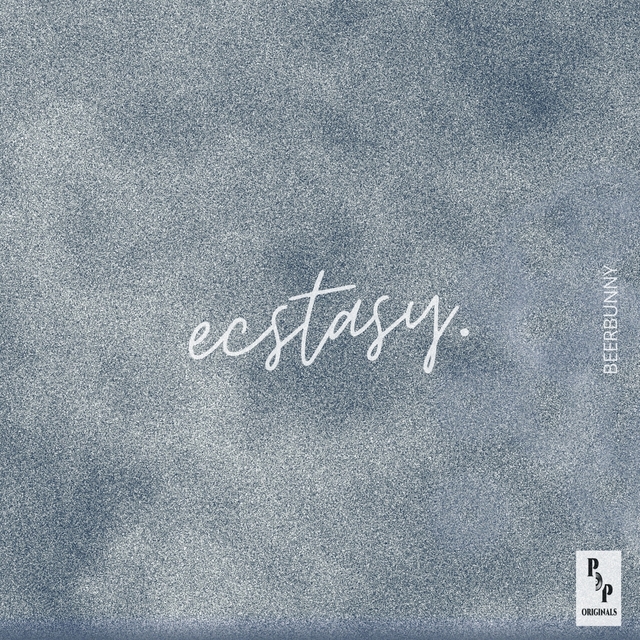 Couverture de Ecstasy.