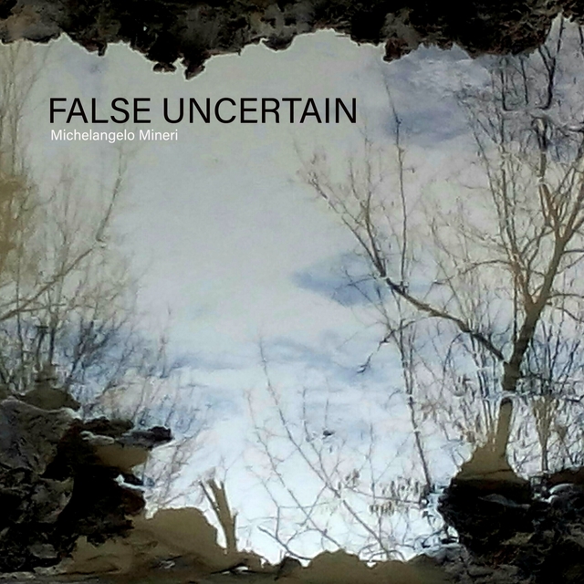 Couverture de False Uncertain