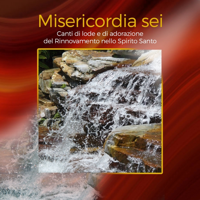 Couverture de Misericordia sei