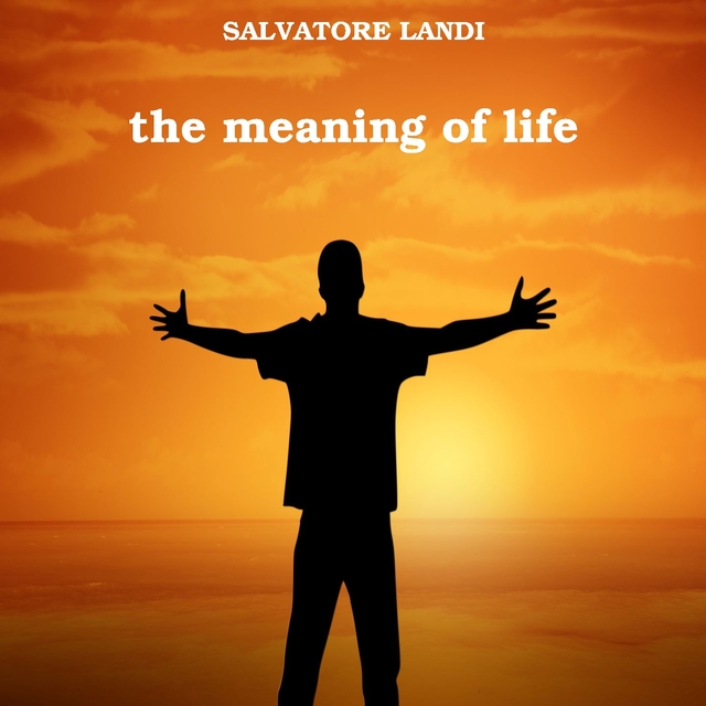 Couverture de The meaning of life