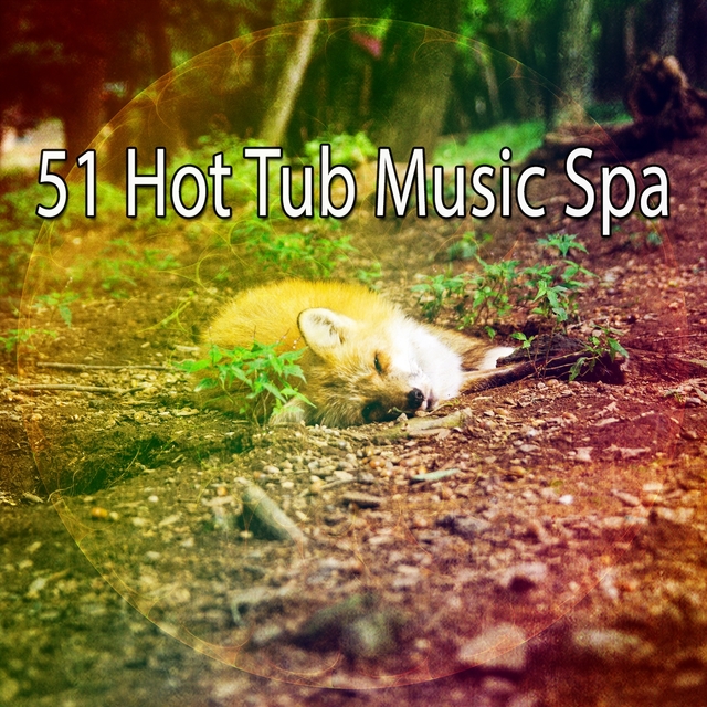 51 Hot Tub Music Spa