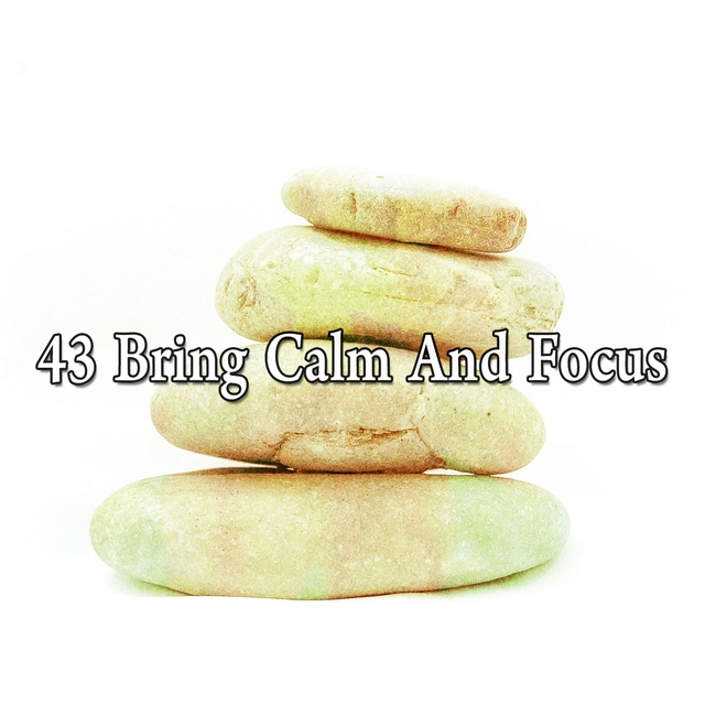 43 Bring Calm and Focus