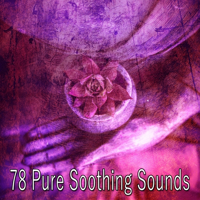 78 Pure Soothing Sounds