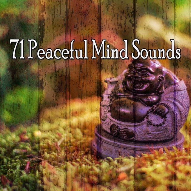 71 Peaceful Mind Sounds