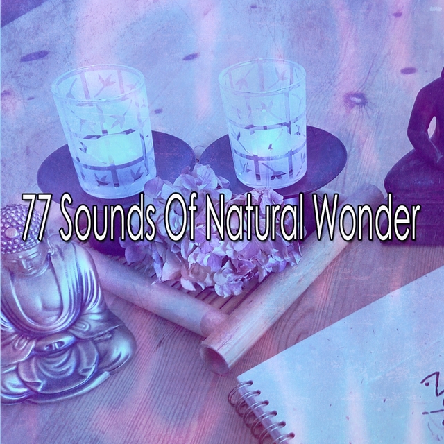 77 Sounds of Natural Wonder