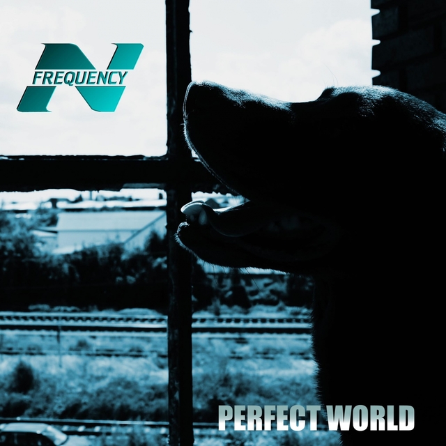 Couverture de Perfect World